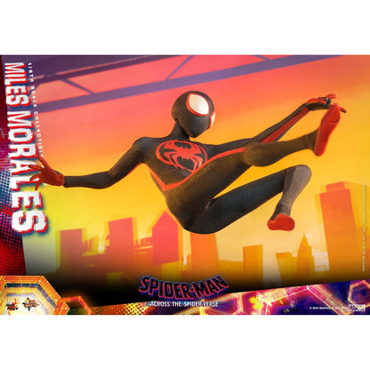 Miles Morales: Spider-Man: Across The Spider-Verse: Marvel - Hot Toys Action Figure