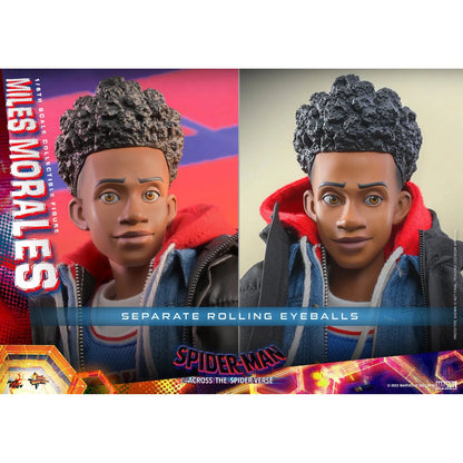 Miles Morales: Spider-Man: Across The Spider-Verse: Marvel - Hot Toys Action Figure