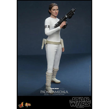 Padme Amidala: Star Wars Episode II: Attack Of The Clones - Hot Toys Action Figure