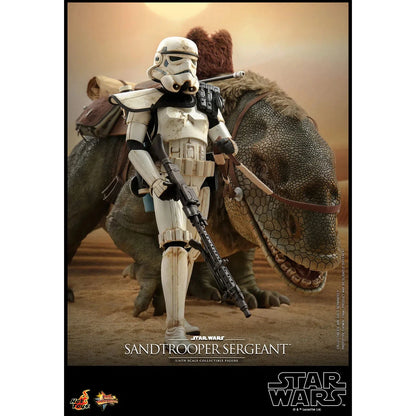 Sandtrooper Sergeant: Star Wars: A New Hope - Hot Toys Action Figure