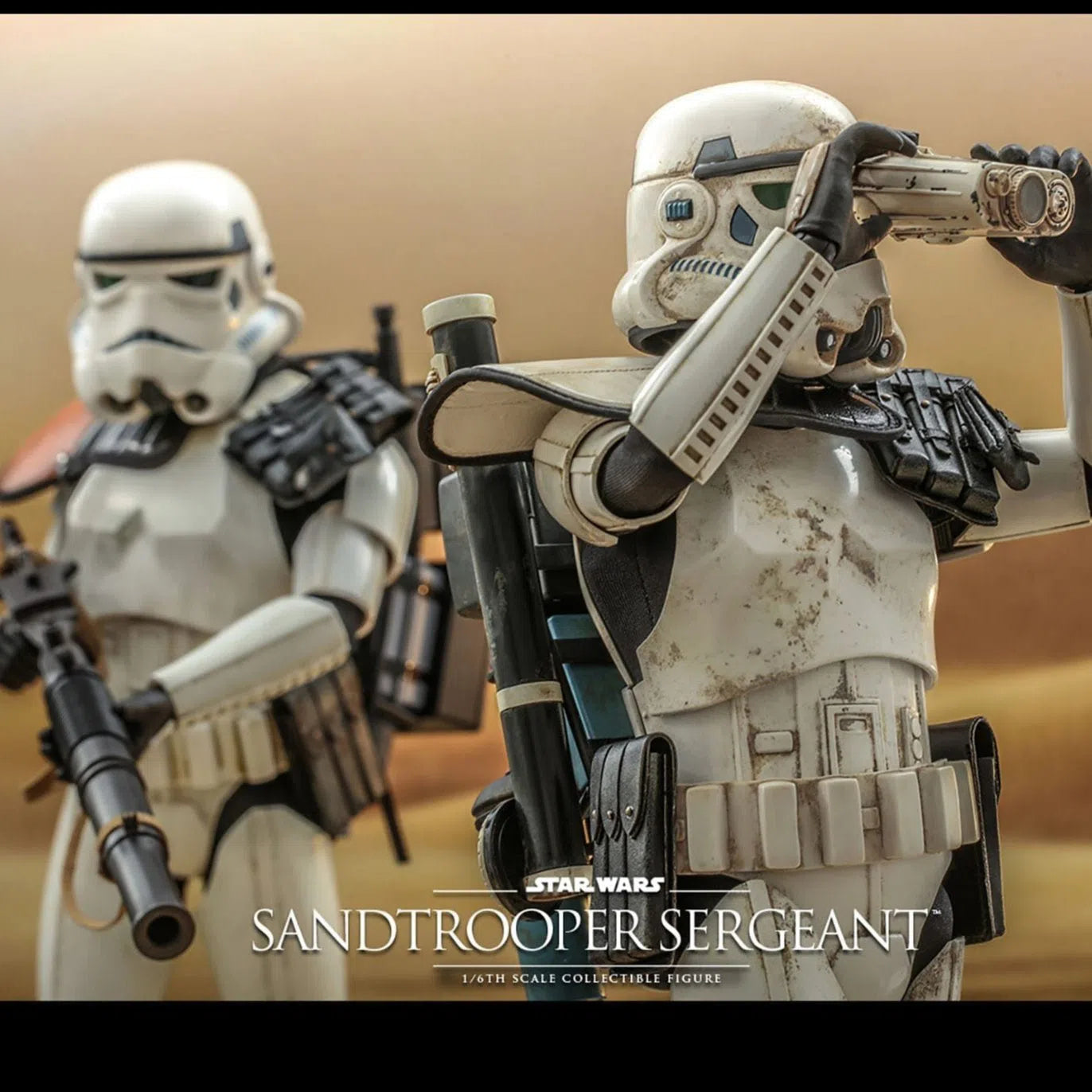 Sandtrooper Sergeant: Star Wars: A New Hope - Hot Toys Action Figure