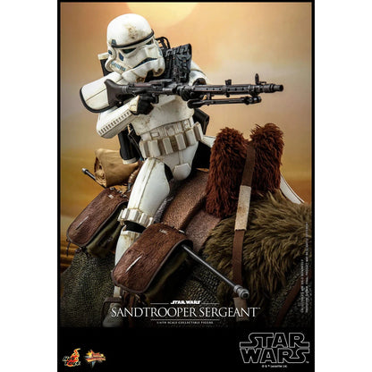 Sandtrooper Sergeant: Star Wars: A New Hope - Hot Toys Action Figure
