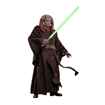 Star Wars: Episode III: Revenge Of The Sith: Saesee Tiin: 1/6th Scale Action Figure - Hot Toys Action Figure