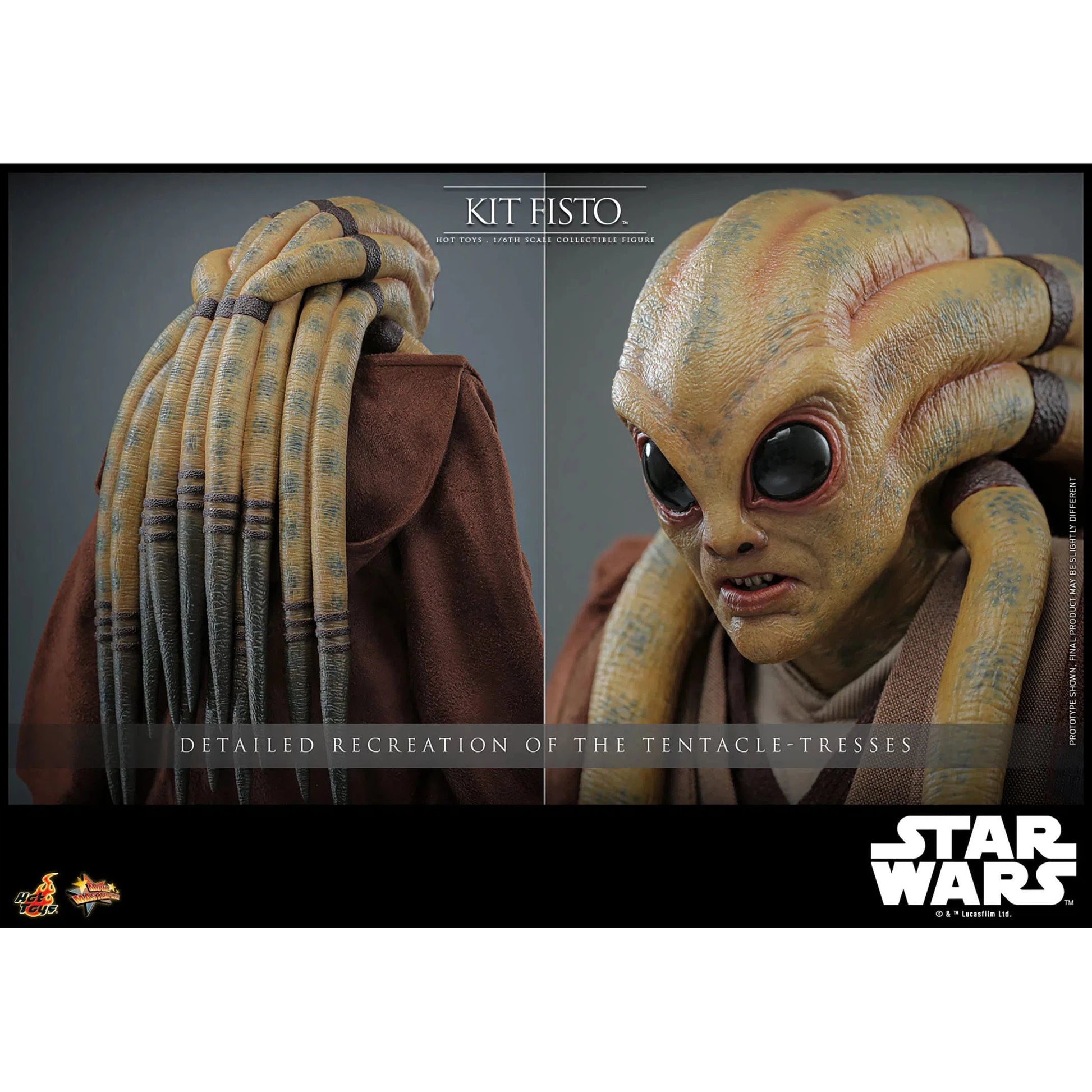 Star Wars: Episode III: Revenge of the Sith: Kit Fisto: Hot Toys by Hot Toys – Action Figure, [scale], UK stockist Planet Action Figures