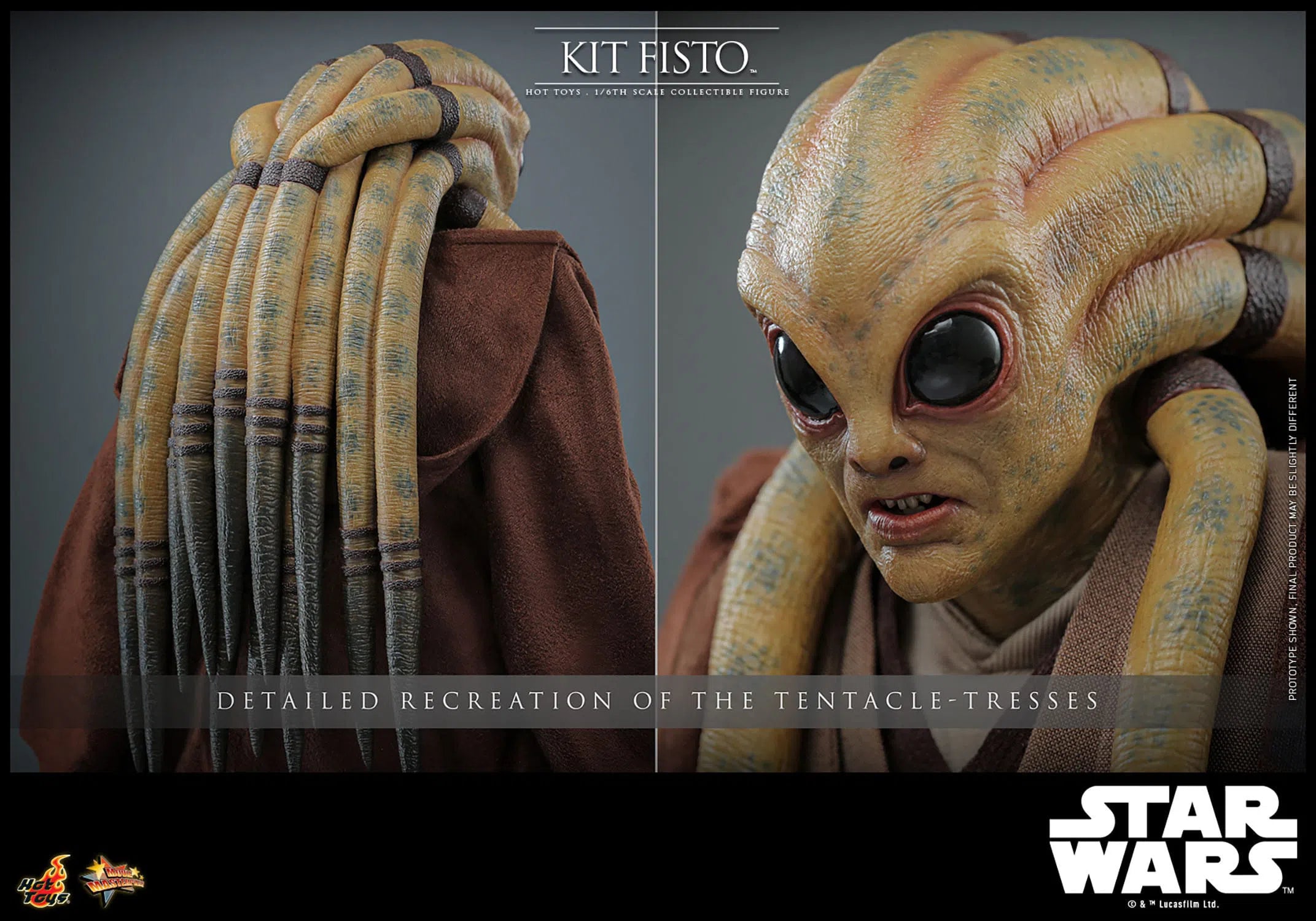 Star Wars: Episode III: Revenge of the Sith: Kit Fisto: Hot Toys Hot Toys