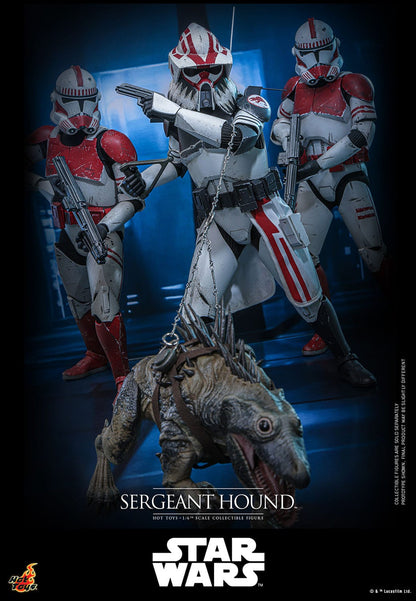 Star Wars: The Clone Wars: Sergeant Hound: 1/6th - Hot Toys Action Figures