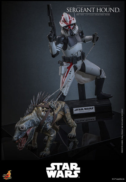 Star Wars: The Clone Wars: Sergeant Hound: 1/6th Scale Action Figure - Hot Toys Action Figure