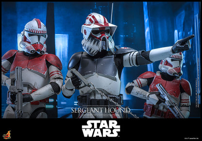 Star Wars: The Clone Wars: Sergeant Hound: 1/6th Scale Action Figure - Hot Toys Action Figure