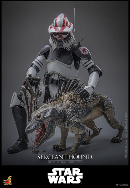 Star Wars: The Clone Wars: Sergeant Hound: 1/6th Scale Action Figure - Hot Toys Action Figure
