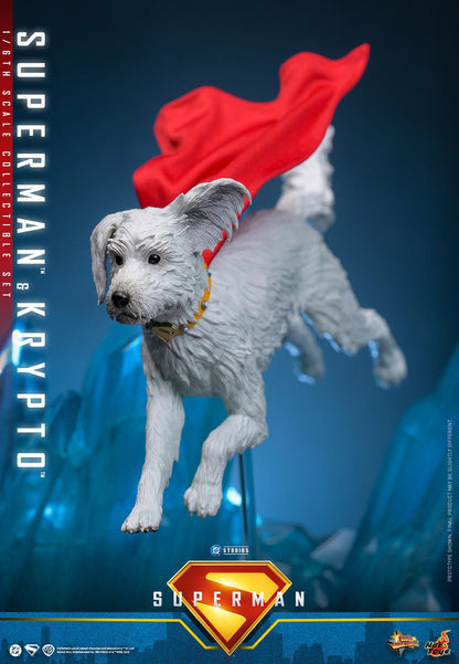 Superman (2025): Superman & Krypto: 1/6th - Hot Toys Action Figures