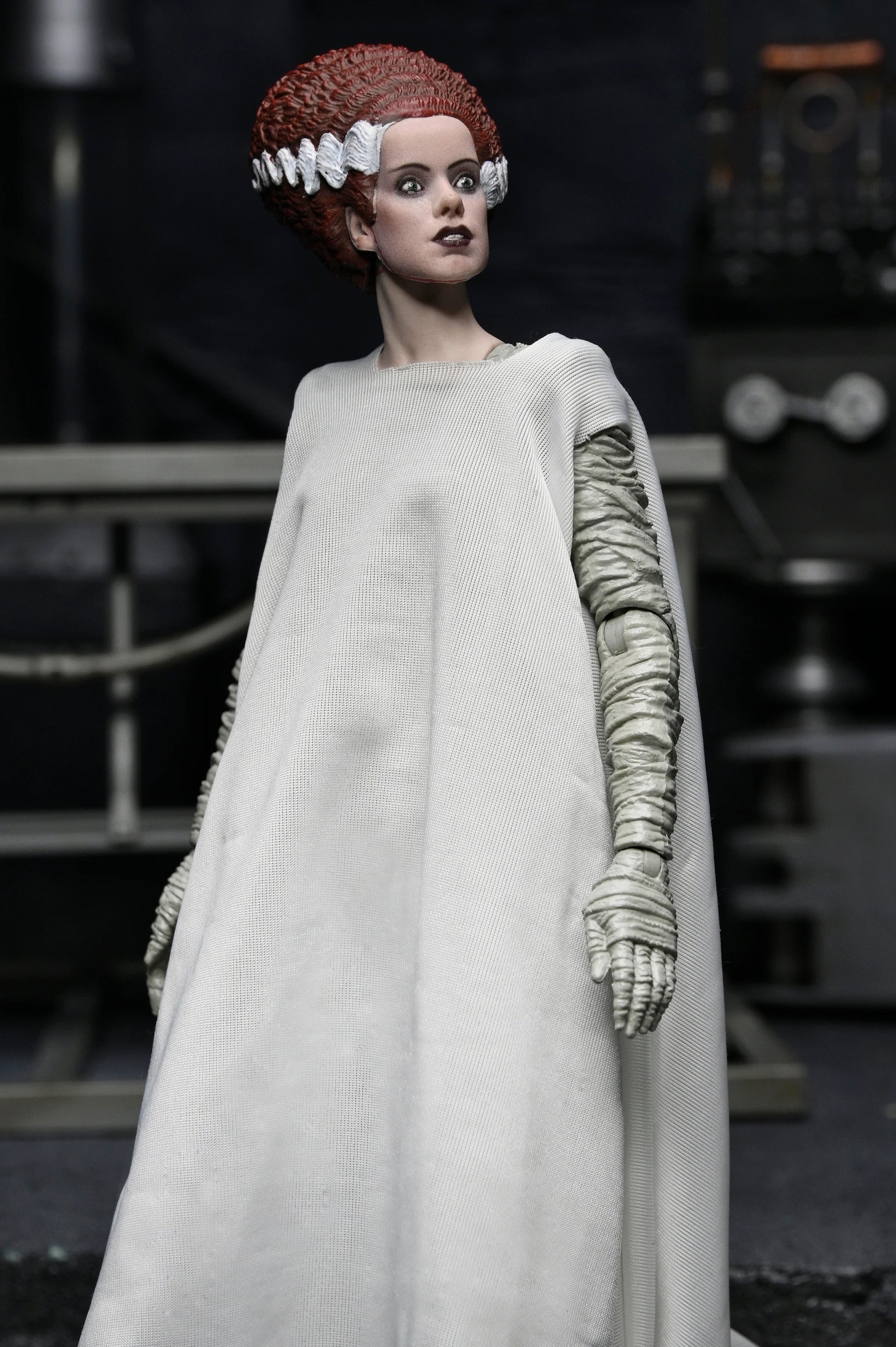Universal Monsters: Bride Of Frankenstein & His Mate (Colour Version): 7" Action Figure 2 Pack - Neca Action Figure
