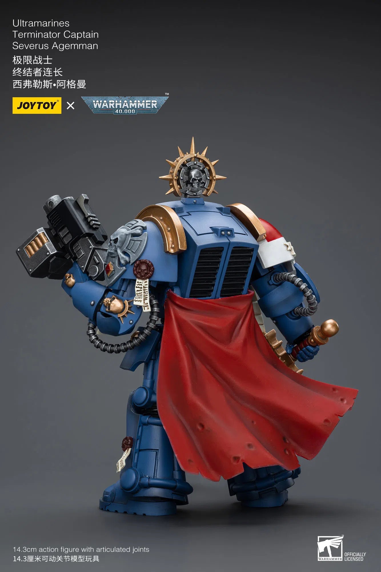 Warhammer 40K: Ultramarines: Terminator Captain: Severus Agemman : Joy Toy Joy Toy