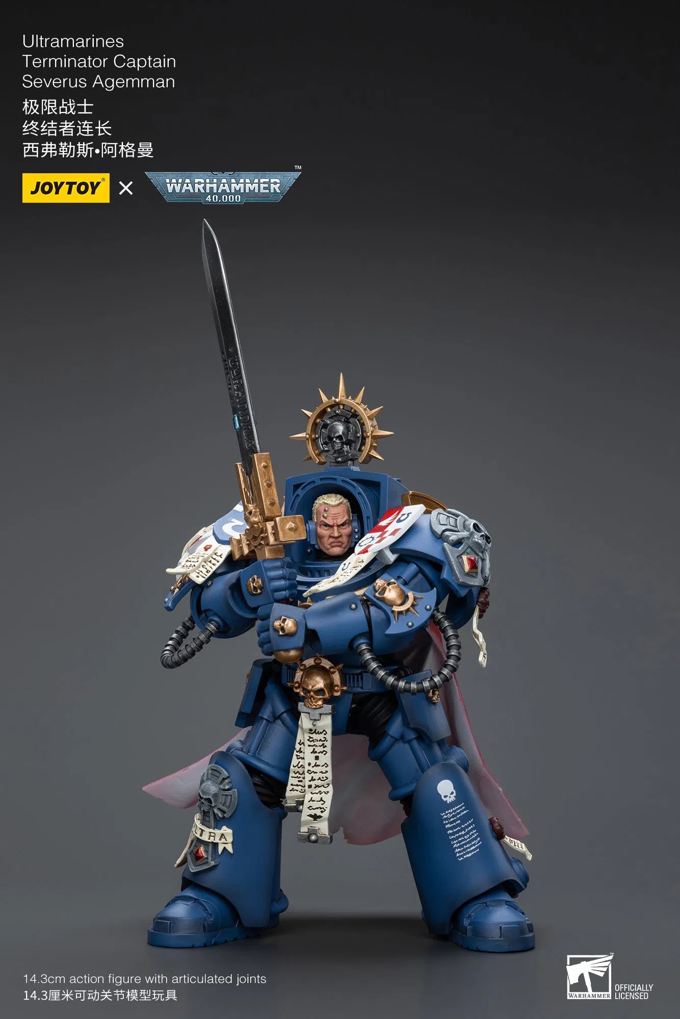 Warhammer 40K: Ultramarines: Terminator Captain: Severus Agemman : Joy Toy Joy Toy