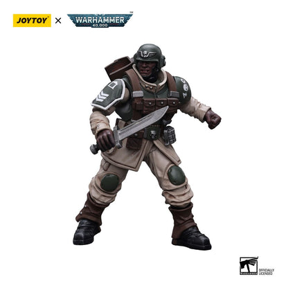 Warhammer 40k: Astra Militarum: Cadian Command Squad Veteran with Regimental Standard: Action Figure - Joy Toy Action Figure
