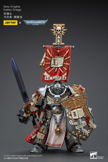 Warhammer 40k: Grey Knights: Kaldor Draigo (Reissue): Action Figure - Joy Toy Action Figure