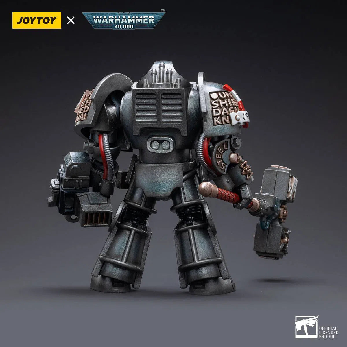 Warhammer 40k: Grey Knights: Terminator Caddon Vibova: Joy Toy Joy Toy