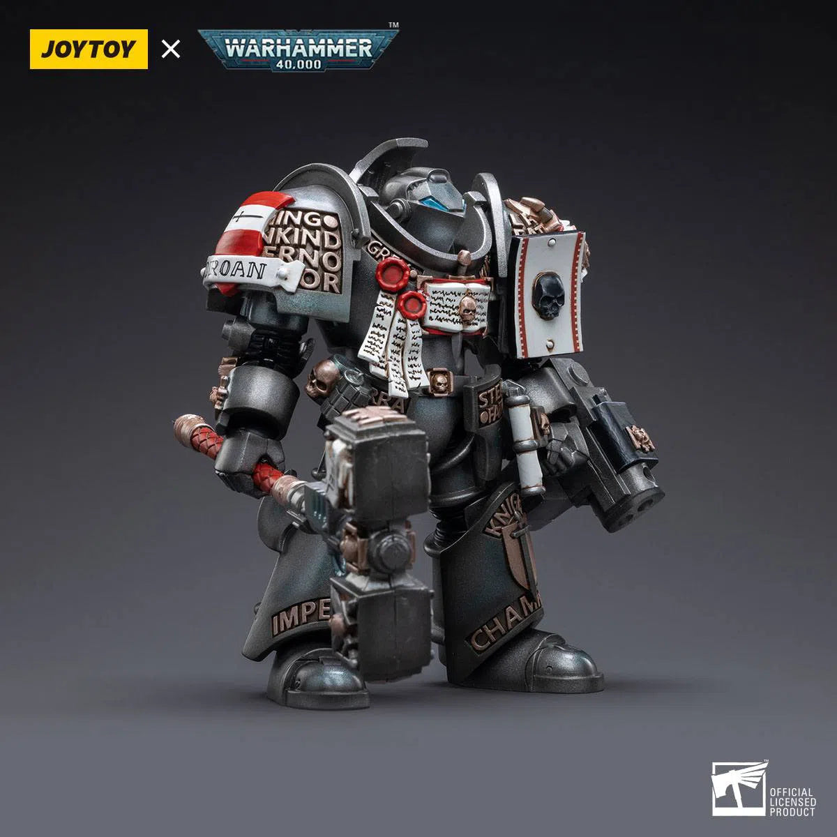 Warhammer 40k: Grey Knights: Terminator Caddon Vibova: Joy Toy Joy Toy