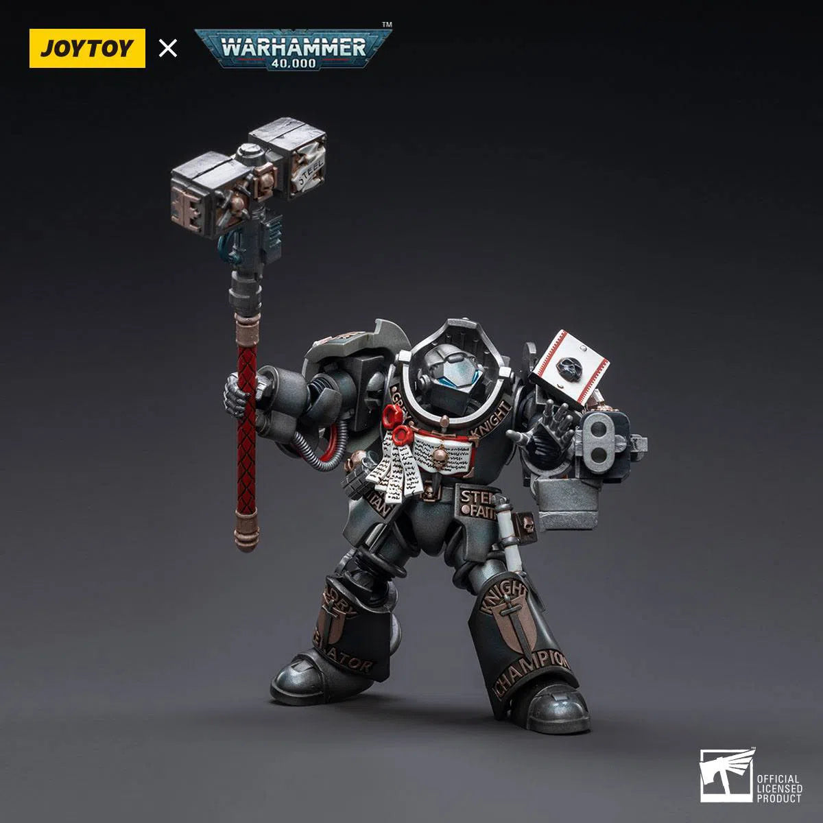 Warhammer 40k: Grey Knights: Terminator Caddon Vibova: Joy Toy Joy Toy