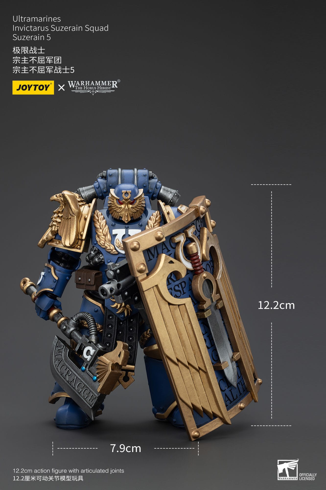 Warhammer The Horus Heresy: Ultramarines: Invictarus Suzerain Squad: Suzerain 5: Action Figure: Joy Toy Joy Toy