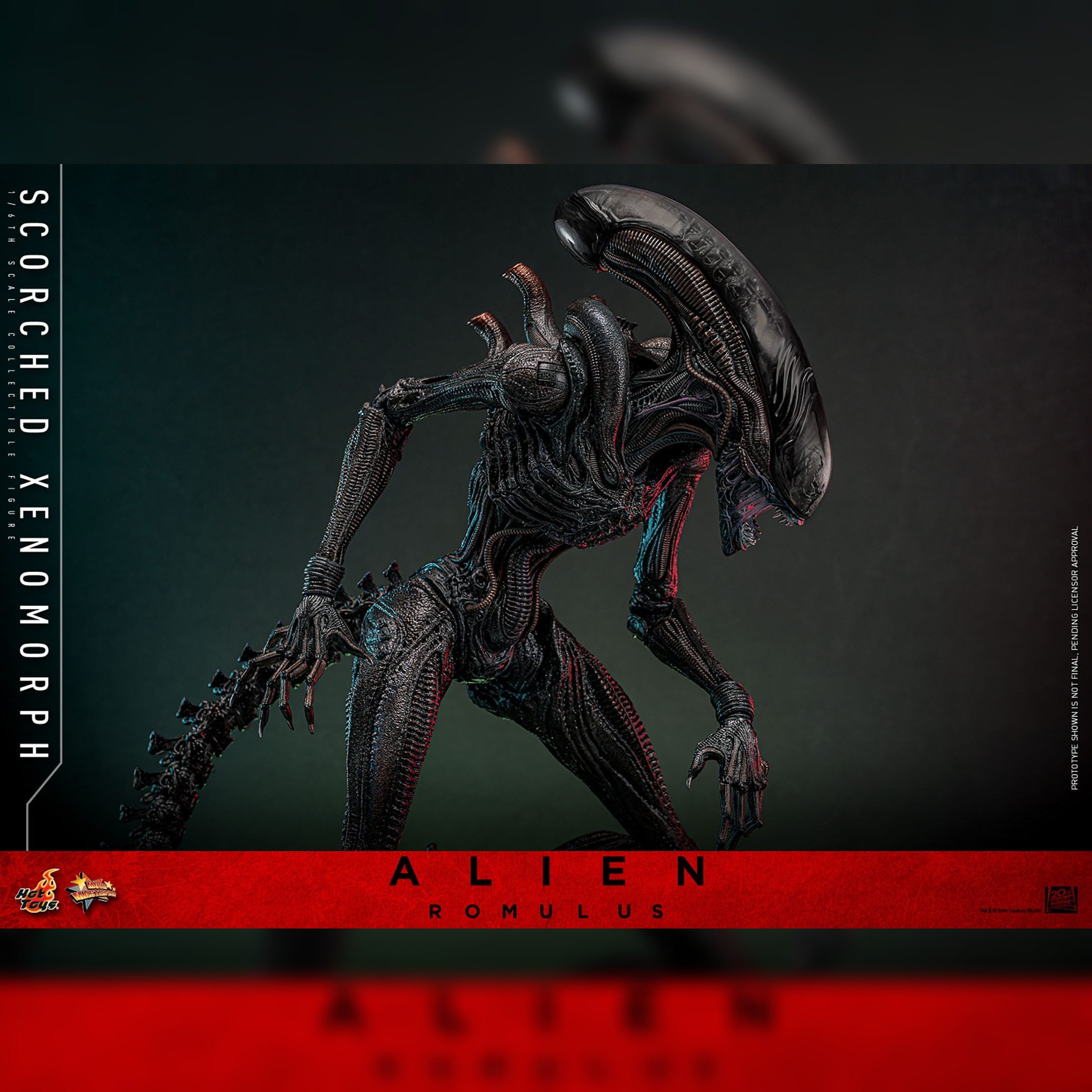 Alien: Romulus: Scorched Xenomorph: 1/6th Scale Action Figure: Hot Toys