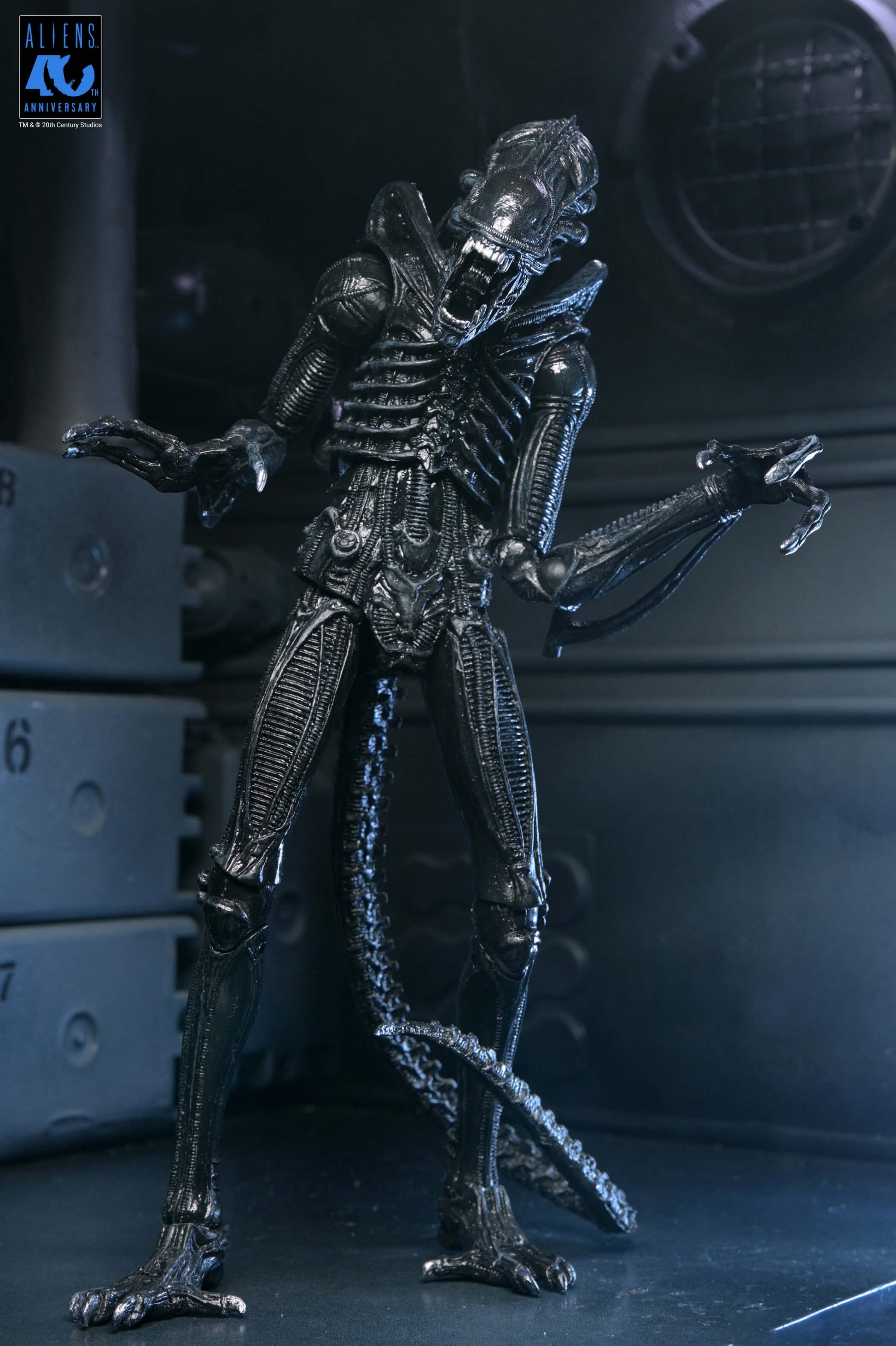 Aliens (1986): Warrior Xenomorph (Black): 40th Anniversary: Ultimate 7" Action Figure - Neca Action Figures