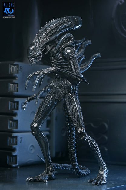 Aliens (1986): Warrior Xenomorph (Black): 40th Anniversary: Ultimate 7" Action Figure - Neca Action Figures