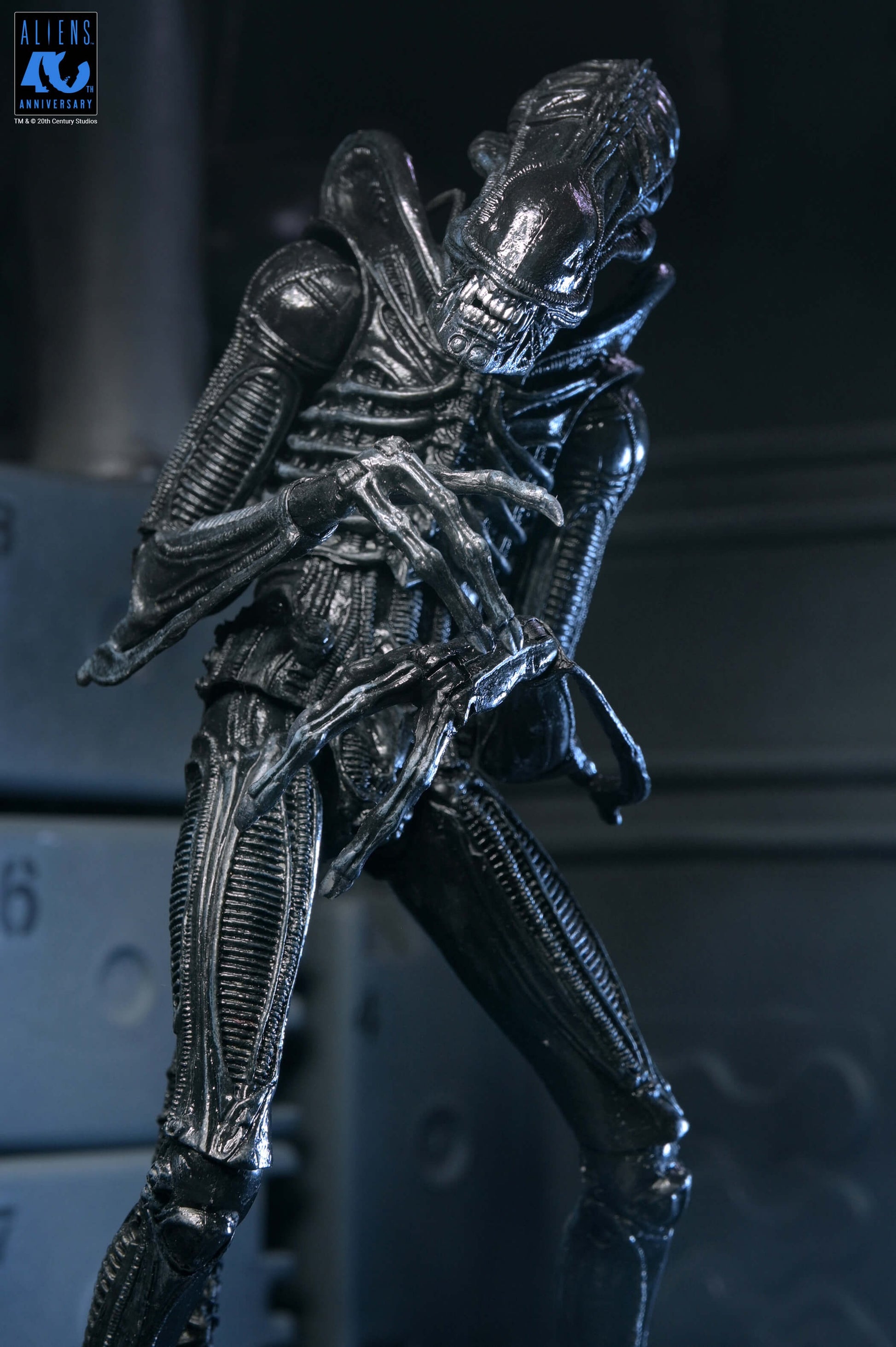 Aliens (1986): Warrior Xenomorph (Black): 40th Anniversary: Ultimate 7" Action Figure - Neca Action Figures