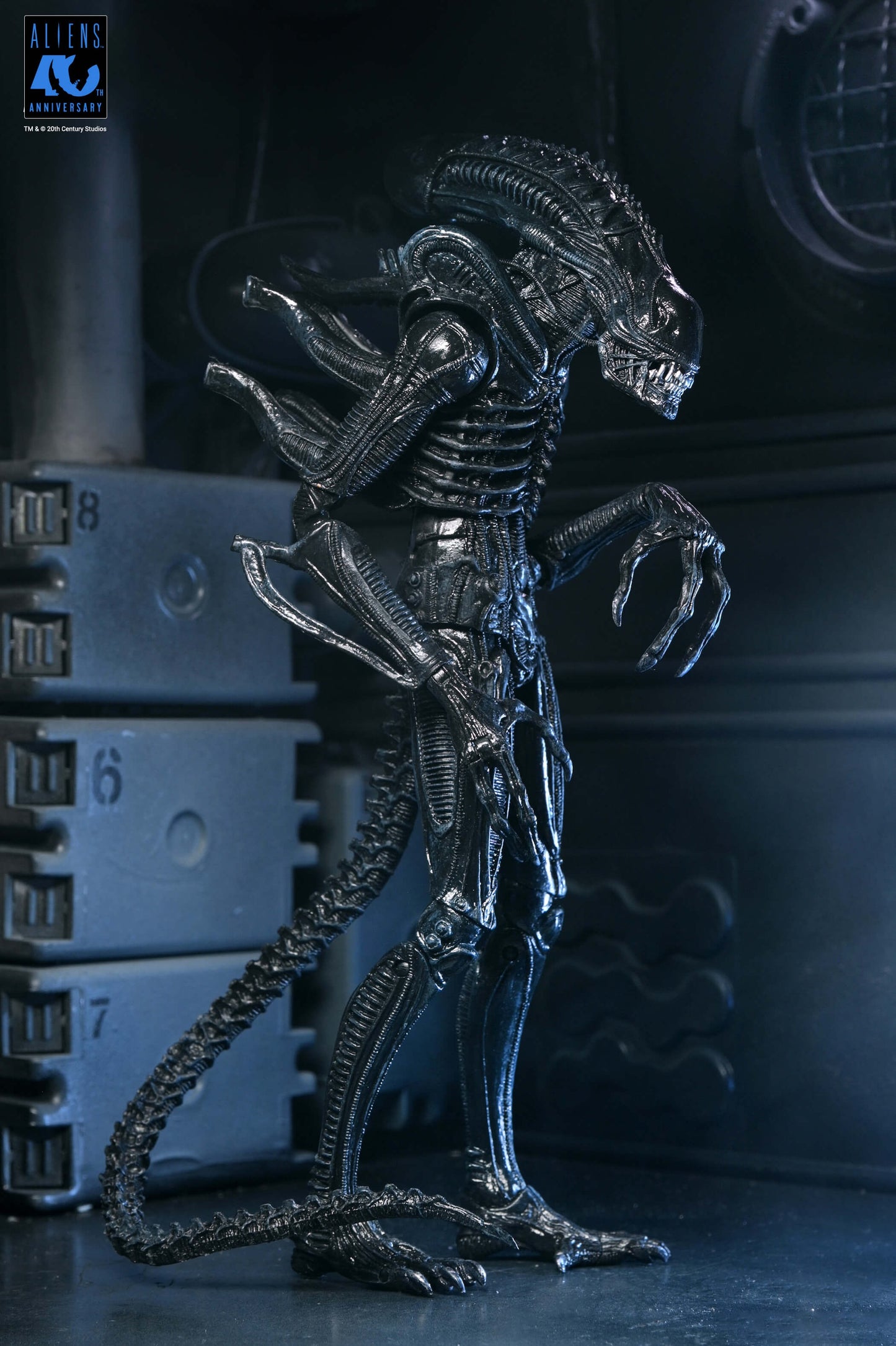 Aliens (1986): Warrior Xenomorph (Black): 40th Anniversary: Ultimate 7" Action Figure - Neca Action Figures