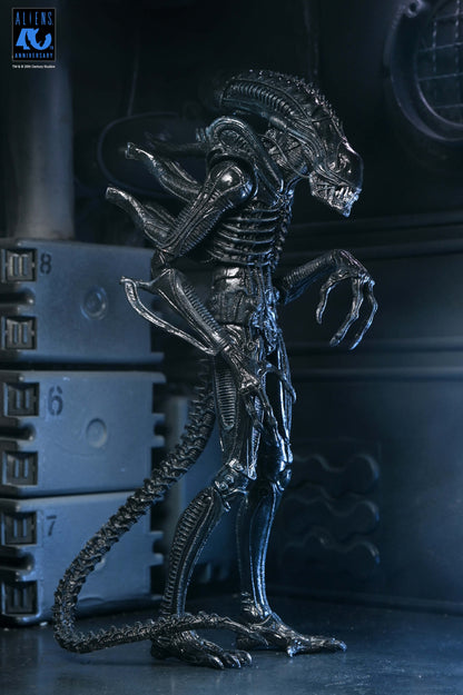 Aliens (1986): Warrior Xenomorph (Black): 40th Anniversary: Ultimate 7" Action Figure - Neca Action Figures