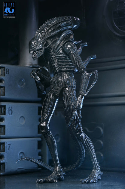 Aliens (1986): Warrior Xenomorph (Black): 40th Anniversary: Ultimate 7" Action Figure - Neca Action Figures