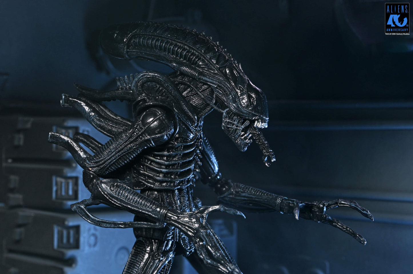 Aliens (1986): Warrior Xenomorph (Black): 40th Anniversary: Ultimate 7" Action Figure - Neca Action Figures