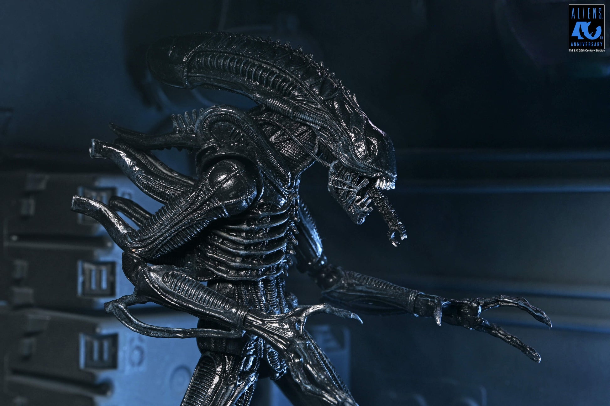 Aliens (1986): Warrior Xenomorph (Black): 40th Anniversary: Ultimate 7" Action Figure - Neca Action Figures