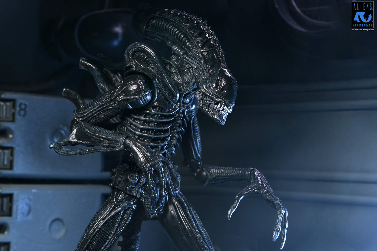 Aliens (1986): Warrior Xenomorph (Black): 40th Anniversary: Ultimate 7" Action Figure - Neca Action Figures