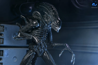 Aliens (1986): Warrior Xenomorph (Black): 40th Anniversary: Ultimate 7" Action Figure - Neca Action Figures