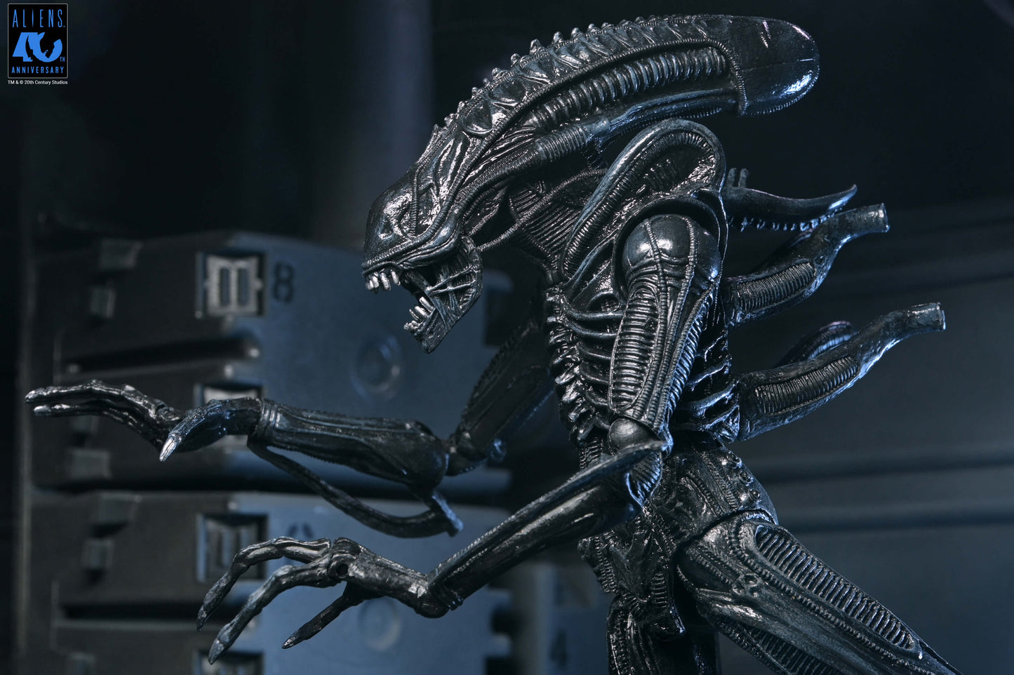 Aliens (1986): Warrior Xenomorph (Black): 40th Anniversary: Ultimate 7" Action Figure - Neca Action Figures