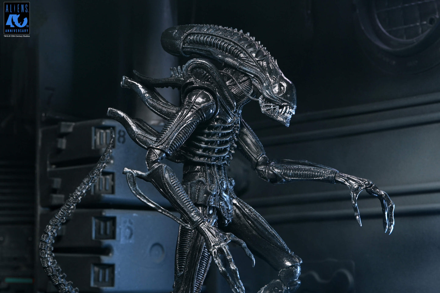 Aliens (1986): Warrior Xenomorph (Black): 40th Anniversary: Ultimate 7" Action Figure - Neca Action Figures