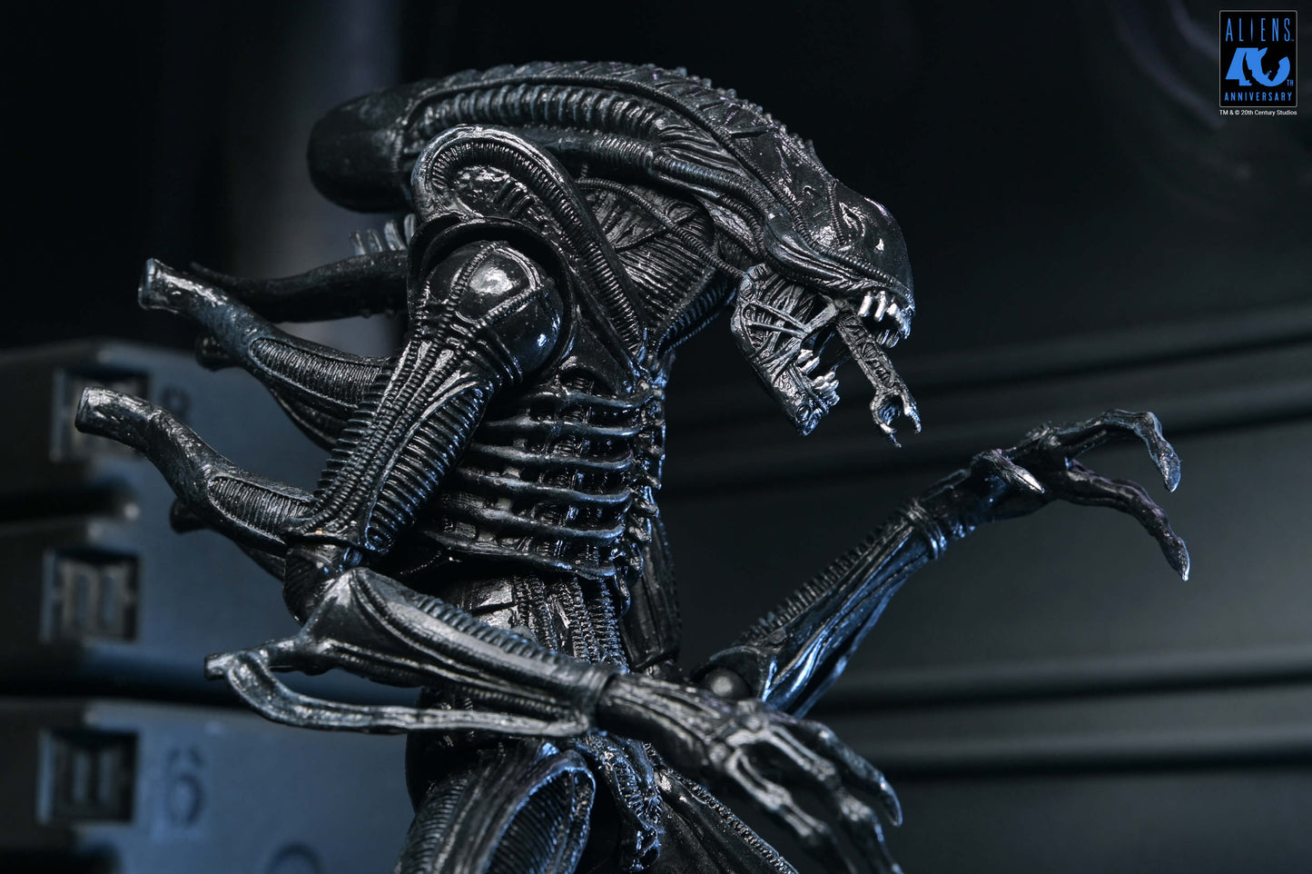 Aliens (1986): Warrior Xenomorph (Black): 40th Anniversary: Ultimate 7" Action Figure - Neca Action Figures