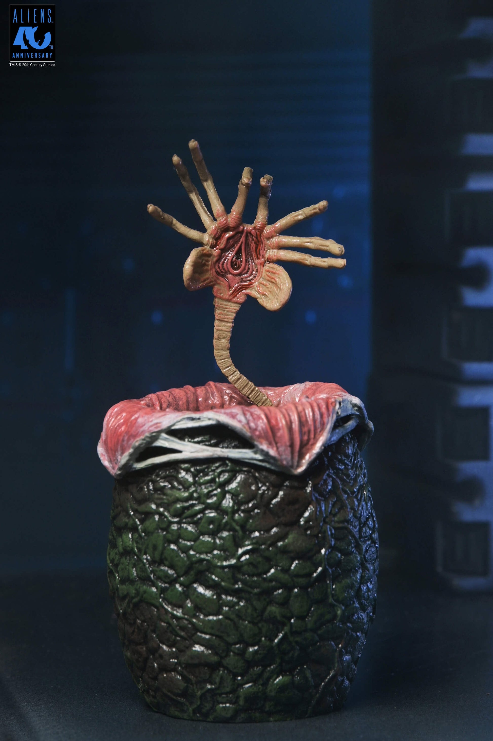 Aliens (1986): Warrior Xenomorph (Black): 40th Anniversary: Ultimate 7" Action Figure - Neca Action Figures
