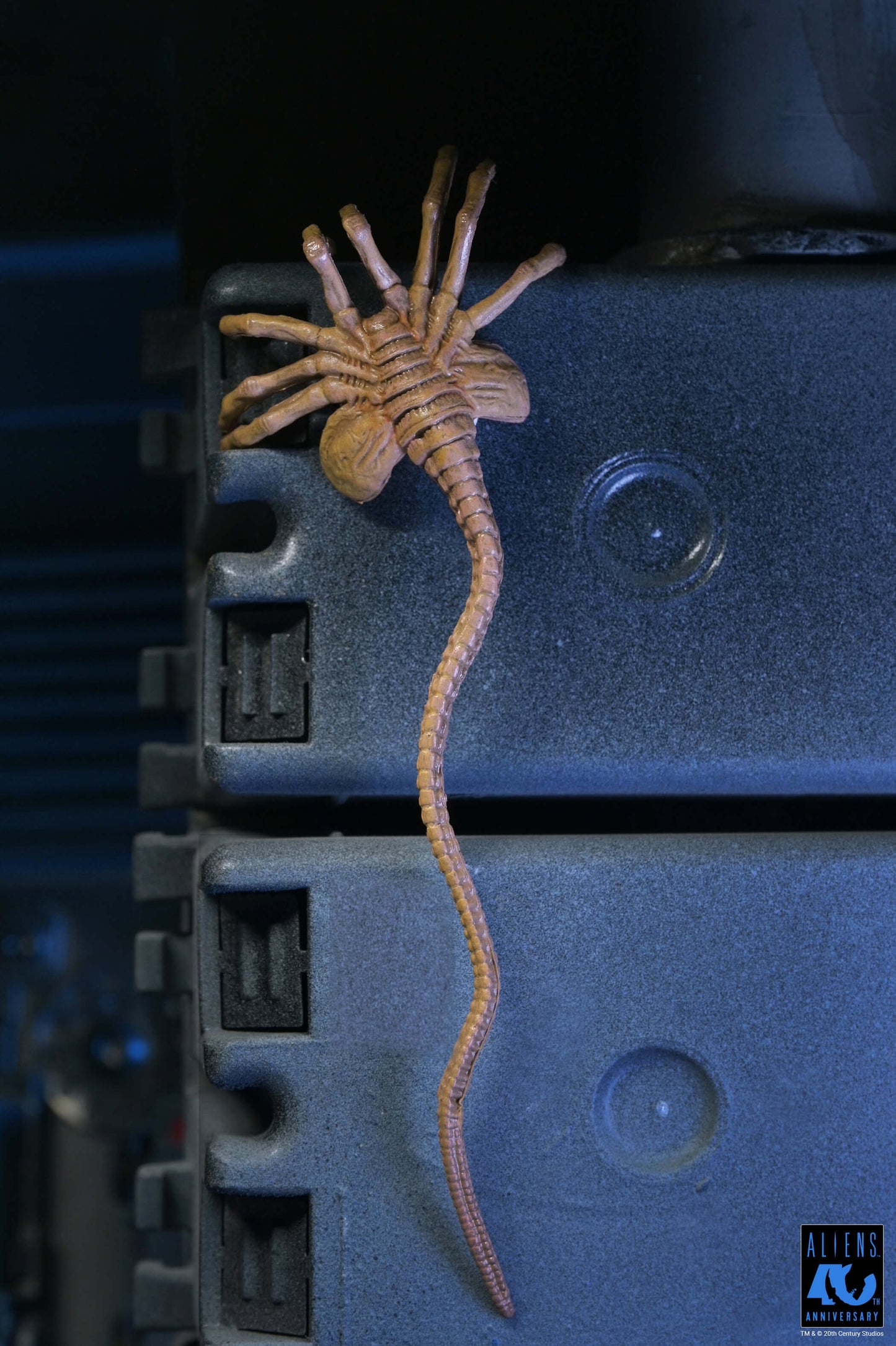 Aliens (1986): Warrior Xenomorph (Black): 40th Anniversary: Ultimate 7" Action Figure - Neca Action Figures