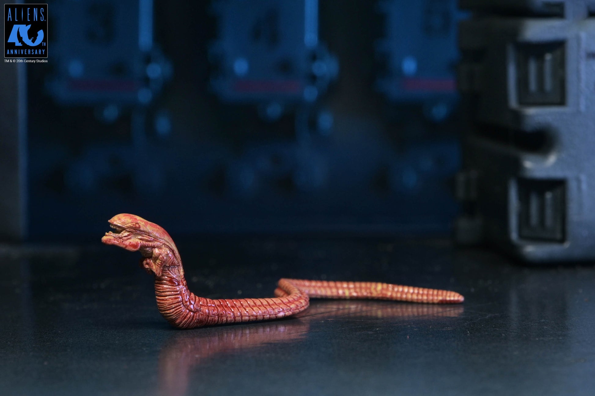 Aliens (1986): Warrior Xenomorph (Black): 40th Anniversary: Ultimate 7" Action Figure - Neca Action Figures