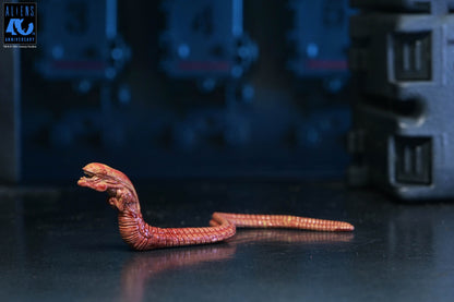 Aliens (1986): Warrior Xenomorph (Black): 40th Anniversary: Ultimate 7" Action Figure - Neca Action Figures