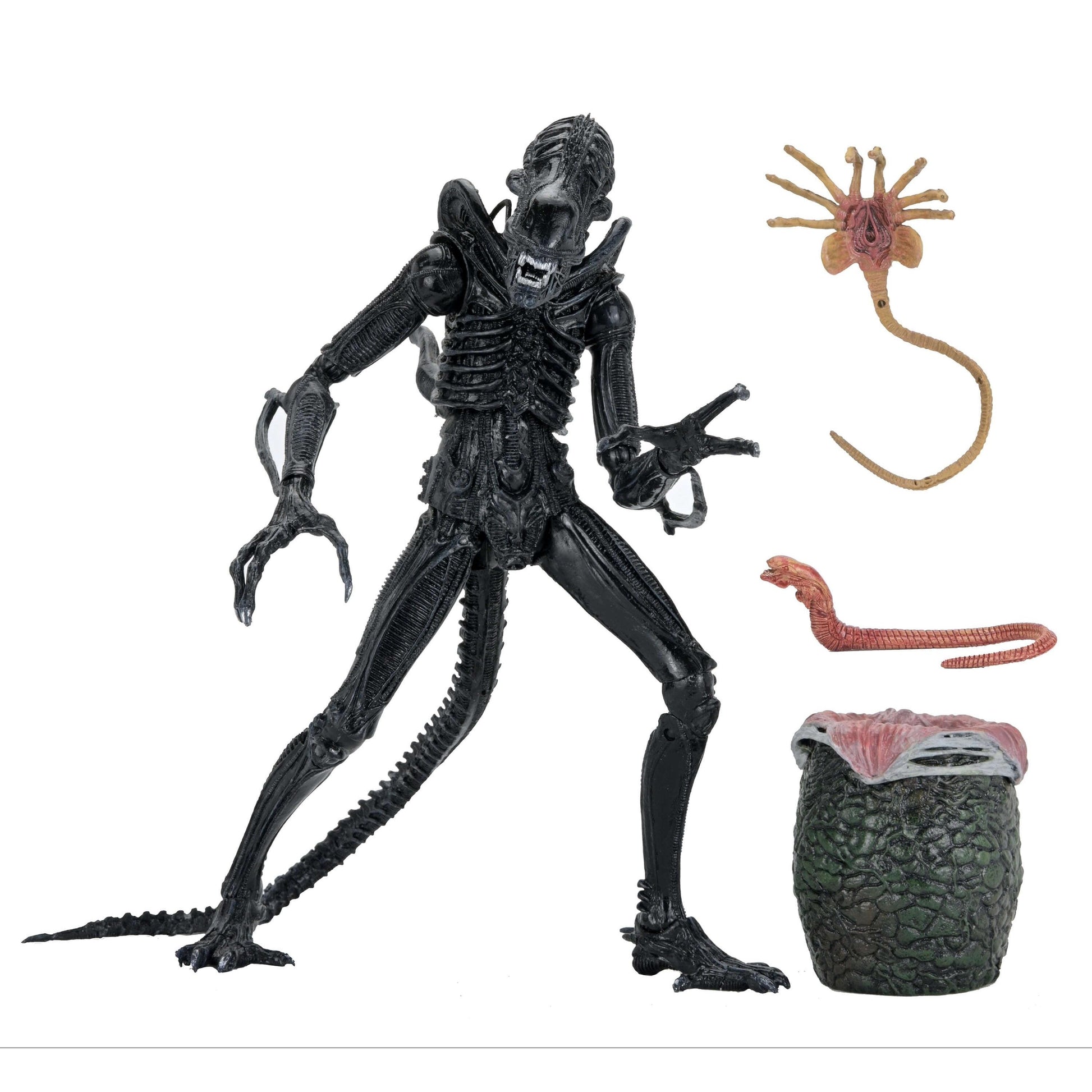 Aliens (1986): Warrior Xenomorph (Black): 40th Anniversary: Ultimate 7" Action Figure - Neca Action Figures