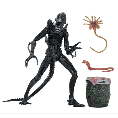 Aliens (1986): Warrior Xenomorph (Black): 40th Anniversary: Ultimate 7" Action Figure - Neca Action Figures