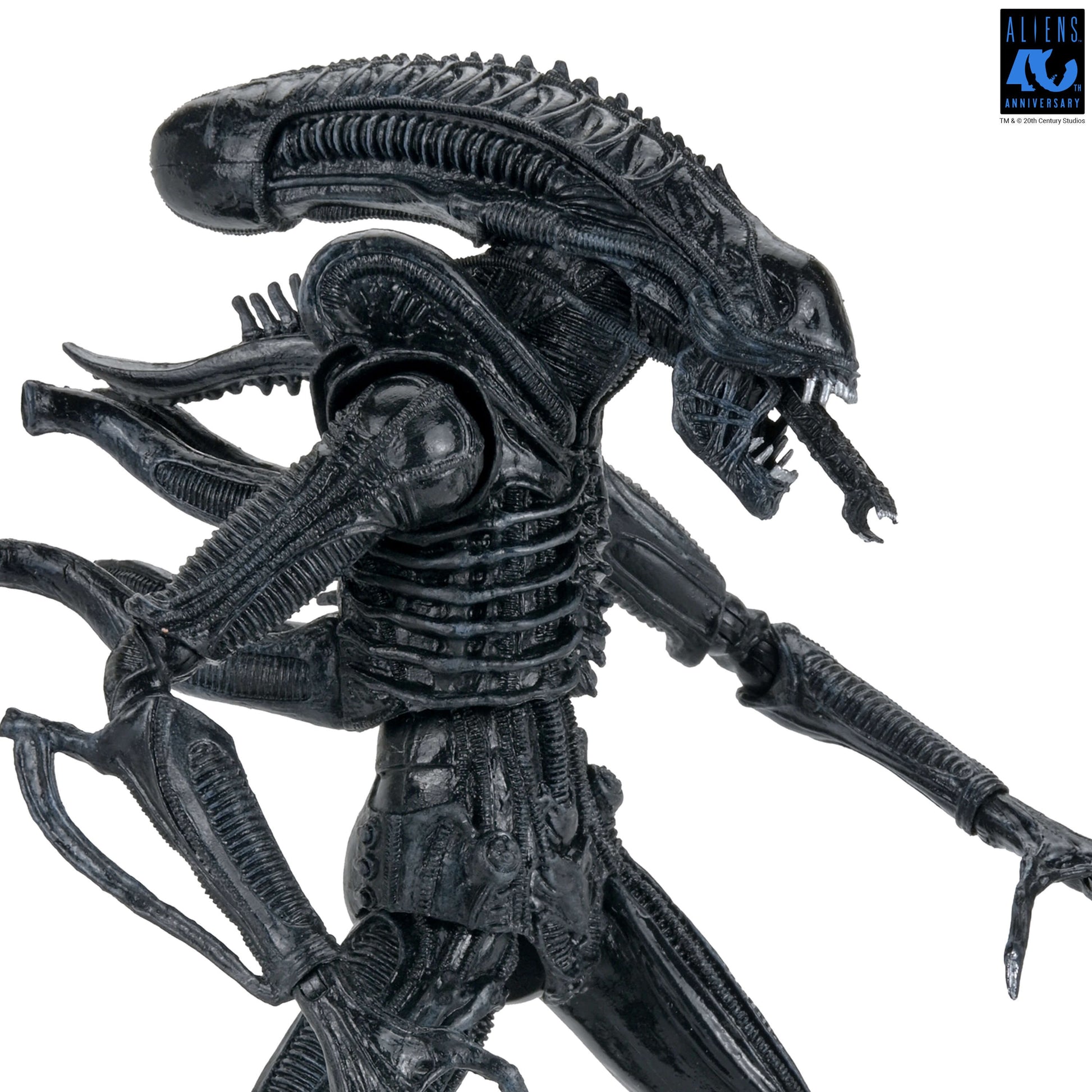Aliens (1986): Warrior Xenomorph (Black): 40th Anniversary: Ultimate 7" Action Figure - Neca Action Figures