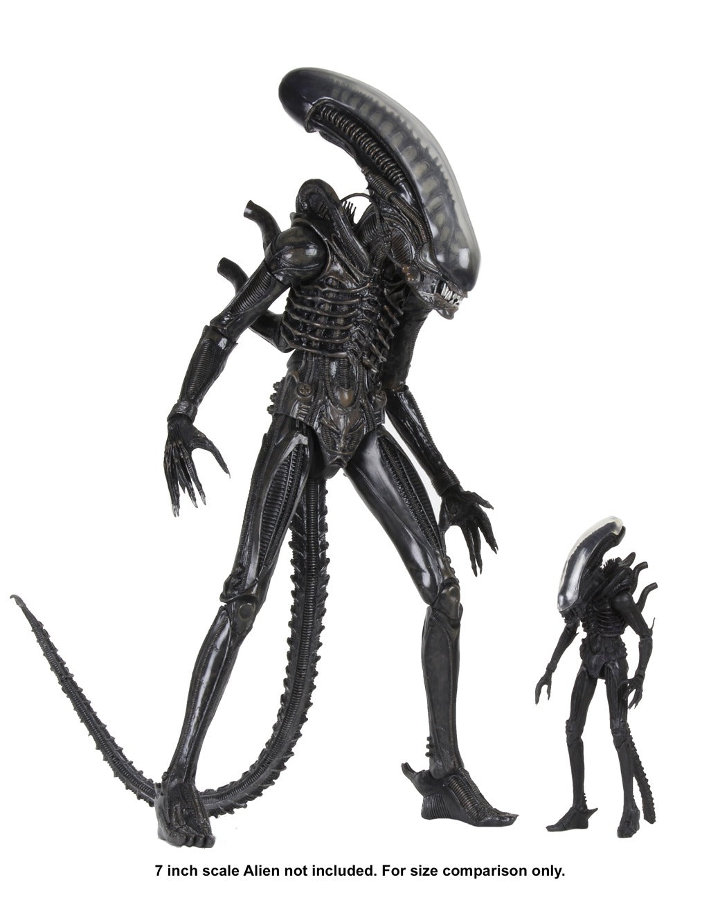 Alien (1979): Big Chap: Ultimate 22 Inch: 1/4 Scale Action Figure - Neca Action Figures