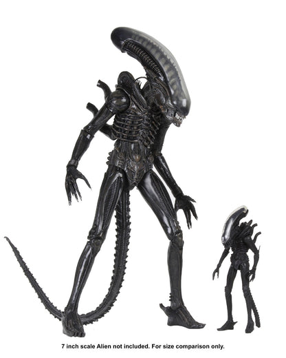 Alien (1979): Big Chap: Ultimate 22 Inch: 1/4 Scale Action Figure - Neca Action Figures