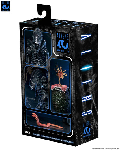 Aliens (1986): Warrior Xenomorph (Black): 40th Anniversary: Ultimate 7" Action Figure - Neca Action Figures