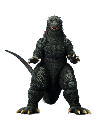 this is a product image