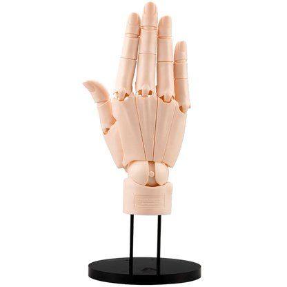 Takahiro Kagami PVC Artist Support Item Hand 1/1 Model/R Pale Orange 21 cm - Kotobukiya Statues