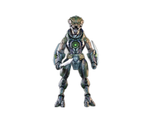 this is a product image